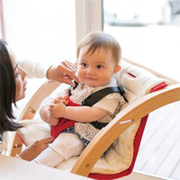 【限定】チェア&クッションセット