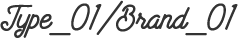 Type 01 / Brand 01