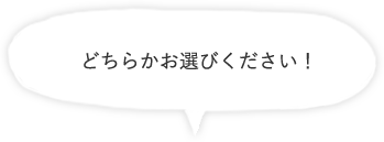 どちらかお選びください！