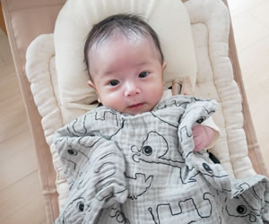 「〇〇な秋」への出産準備