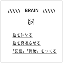 「脳」脳を休める・脳を発達させる・記憶、情緒をつくる