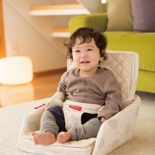 O-BABY.net限定!】ベッドインベッドフレックスおねんねセット 