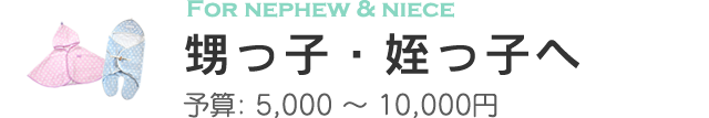 甥っ子・姪っ子へ贈るオススメ出産祝い